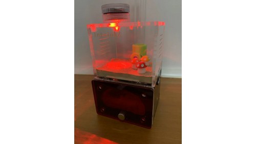 A1 ant farm with light