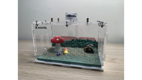 P2D Large Ants farm (size 200x160x100) with cement base