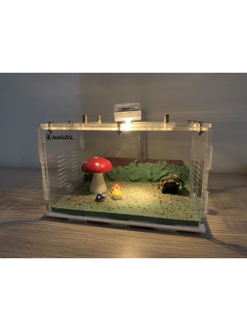 P2D Large Ants farm (size 200x160x100) with cement base