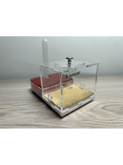 Super clear View! Wood style P1 Ant farm  (size 120x80x67) (no Thermometer)