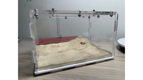 P2 Large Ants farm (size 200x160x100) with cement base