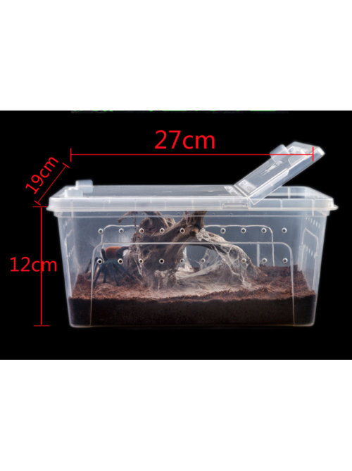 Medium (27 x 19 x 12 cm) Terrarium, Transparent, Insect Reptile Amphibious box