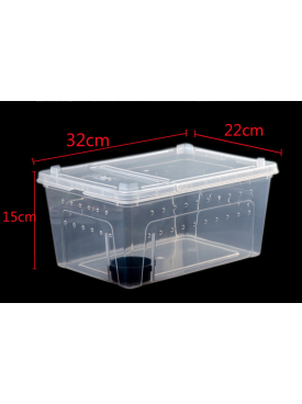 Large (32 x 22 x 15 cm) Terrarium, Transparent, Insect Reptile Amphibious box