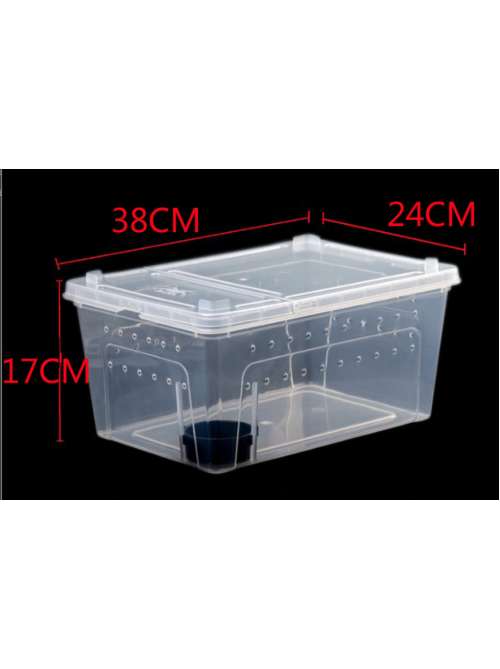 X Large (38 x 24 x 17 cm) Terrarium, Transparent, Insect Reptile Amphibious box