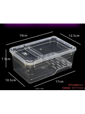 frog, isopods, Terrarium, Transparent, Insect Reptile Transport, Amphibious box