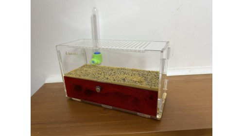 aerated concrete blocks ants farm A2 with ant colony 50+