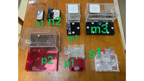 Super clear View! Wood style P1 Ant farm  (size 120x80x67) (no Thermometer)