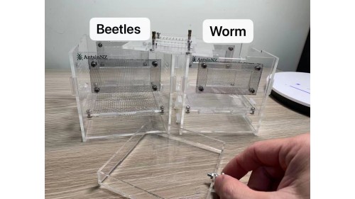 luxury mealworm farm ( small ) with around 200 worms