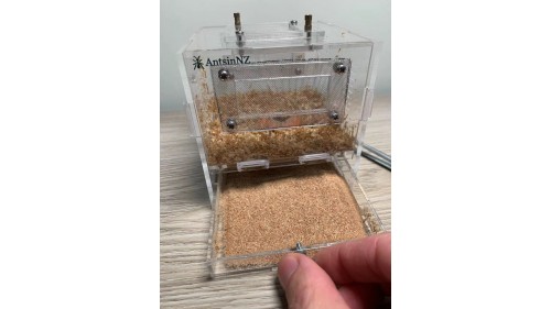 luxury mealworm farm ( small ) with around 200 worms