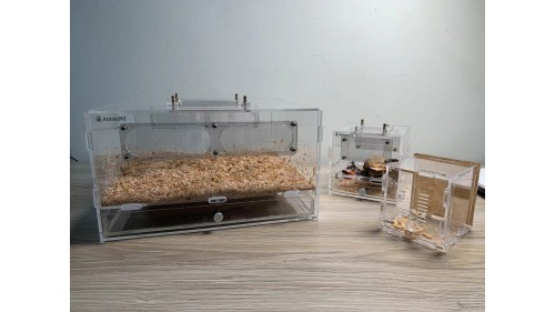 luxury mealworm farm ( small ) with around 200 worms