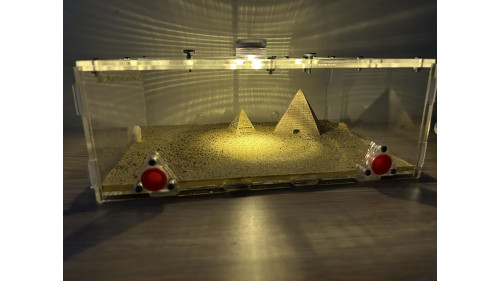 Large living area (350 x 240 x 105mm)  =pyramid=