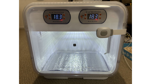 Dual temperature control brooder with auto air fan