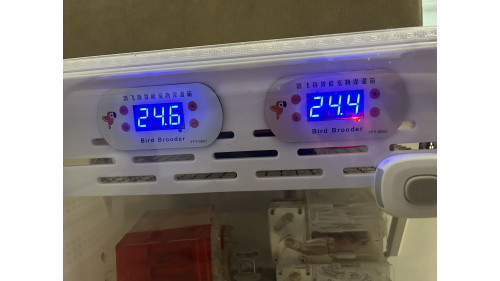 Dual temperature control brooder with auto air fan