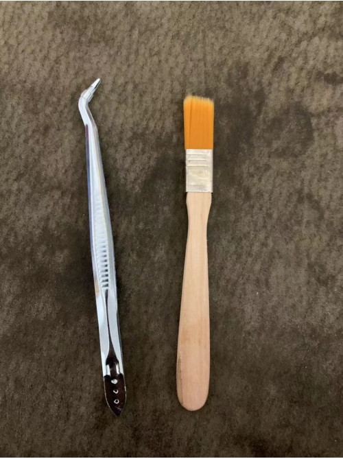 brush + Tweezers, ants tools